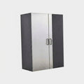 Asti Wood Wall Mounted Garage Cabinet in Gray (31.4 In. W X 78.7 In. H X 19.6 In. D)