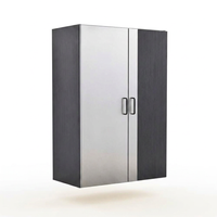 Asti Wood Wall Mounted Garage Cabinet in Gray (31.4 In. W X 78.7 In. H X 19.6 In. D) — Studio Shot