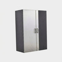 Asti Wood Wall Mounted Garage Cabinet in Gray (31.4 In. W X 78.7 In. H X 19.6 In. D) — Studio Shot